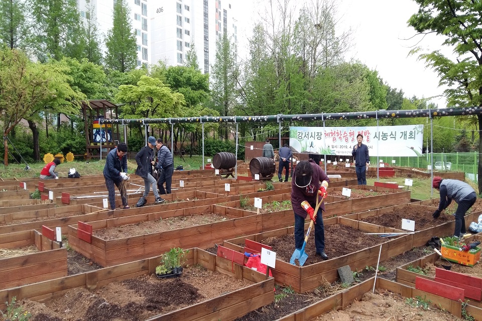 강서 텃밭 현장 사진