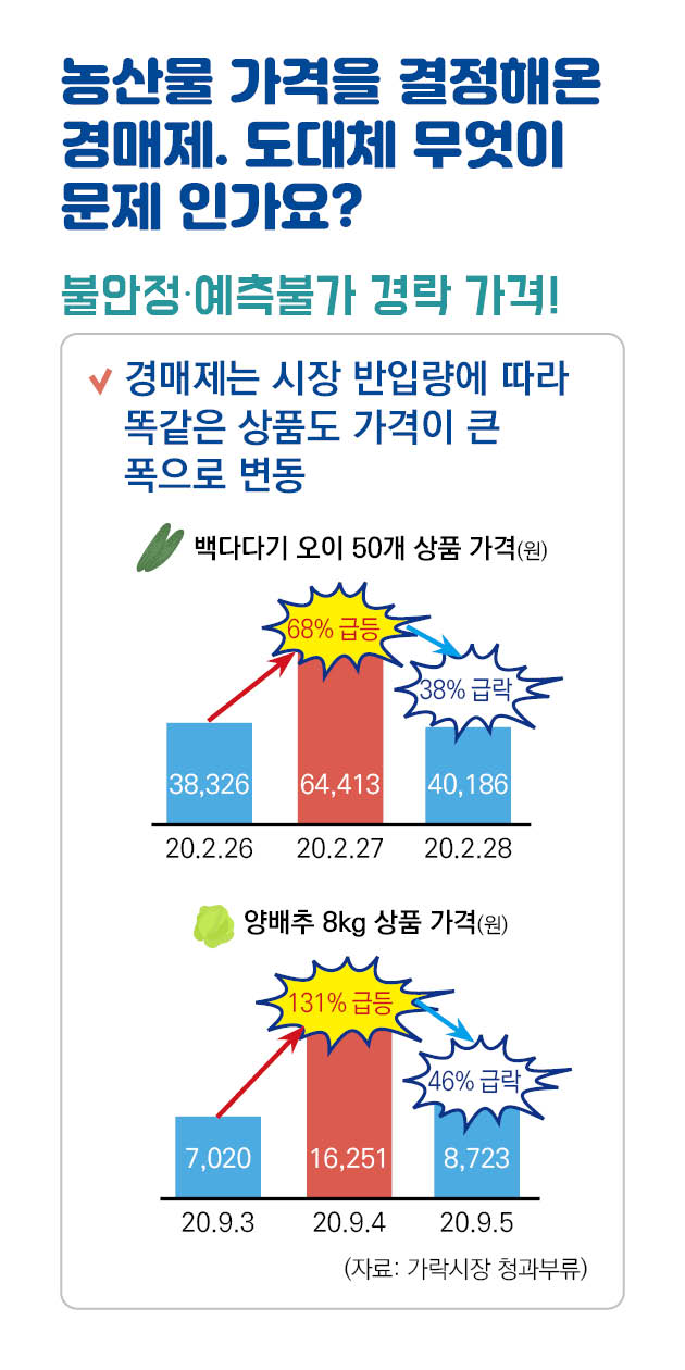 파일명: 시장도매인 모바일용(세로형)_2.jpg
이미지 설명: 농산물 가격 변동 정보 이미지.
[메인 문구] 농산물, 가격을 결정해온 경매제. 도대체 무엇이 문제 인가요?
[부제] 불안정·예측불가 경락 가격!
[설명 문구]
경매제는 시장 반입량에 따라 똑같은 상품도 가격이 큰 폭으로 변동
백다다기 오이 50개 상품 가격(원) 변동 그래프:
20.2.26: 38,326원
20.2.27: 64,413원 (68% 급등)
20.2.28: 40,186원 (38% 급락)
양배추 8kg 상품 가격(원) 변동 그래프:
20.9.3: 7,020원
20.9.4: 16,251원 (131% 급등)
20.9.5: 8,723원 (46% 급락)
[자료 출처] 가락시장 정과부류