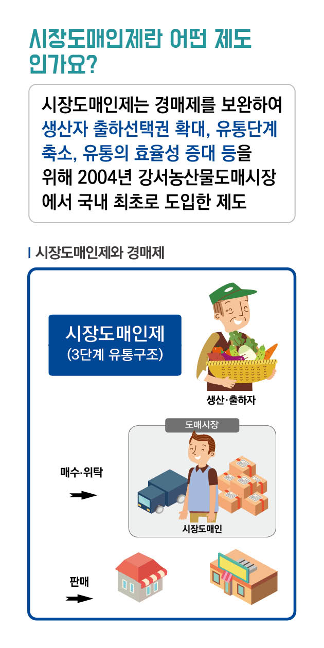파일명: 시장도매인 모바일용(세로형)_8.jpg
이미지 설명: 시장도매인제도 정보 이미지
[메인 문구] 시장도매인제란 어떤 제도인가요?
[설명 문구] 시장도매인제는 경매제를 보완하여 생산자 출하선택권 확대, 유통단계 축소, 유통의 효율성 증대 등을 위해 2004년 강서농산물도매시장에서 국내 최초로 도입한 제도
[주요 내용] 이미지는 시장도매인제와 경매제의 유통 구조를 보여줍니다:

상단에 '시장도매인제(3단계 유통구조)'라는 파란색 상자와 농산물 바구니를 들고 있는 생산자/출하자 일러스트레이션
중간에 '도매시장' 표시와 함께 상자를 다루는 시장도매인 일러스트레이션
하단에 소매점 건물 일러스트레이션
유통 흐름을 보여주는 화살표로 '매수·위탁'과 '판매' 과정을 표시

이 이미지는 시장도매인제도가 기존 경매제와 비교하여 어떻게 유통 단계를 축소하고 효율성을 높이는지 시각적으로 설명하고 있습니다.